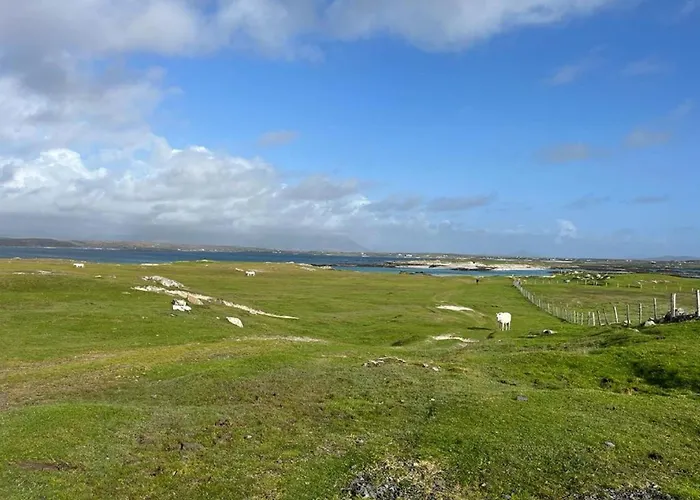 House Mannin, Балликоннили