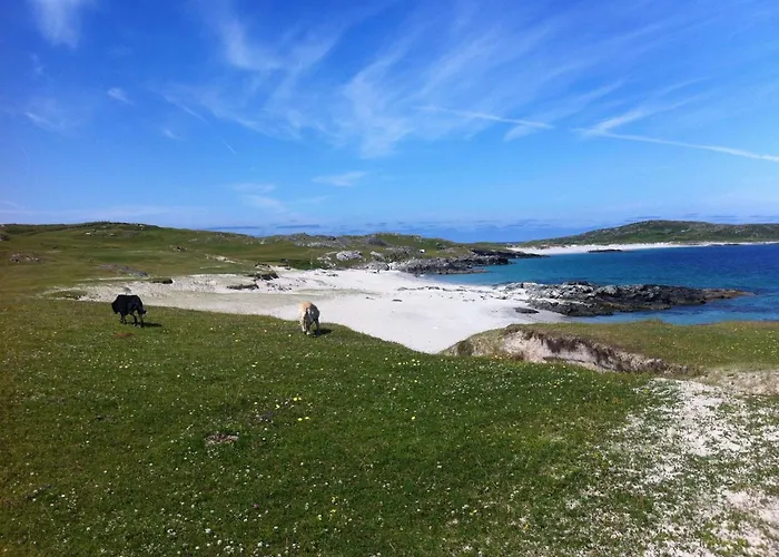 Дом отдыха House Mannin, *